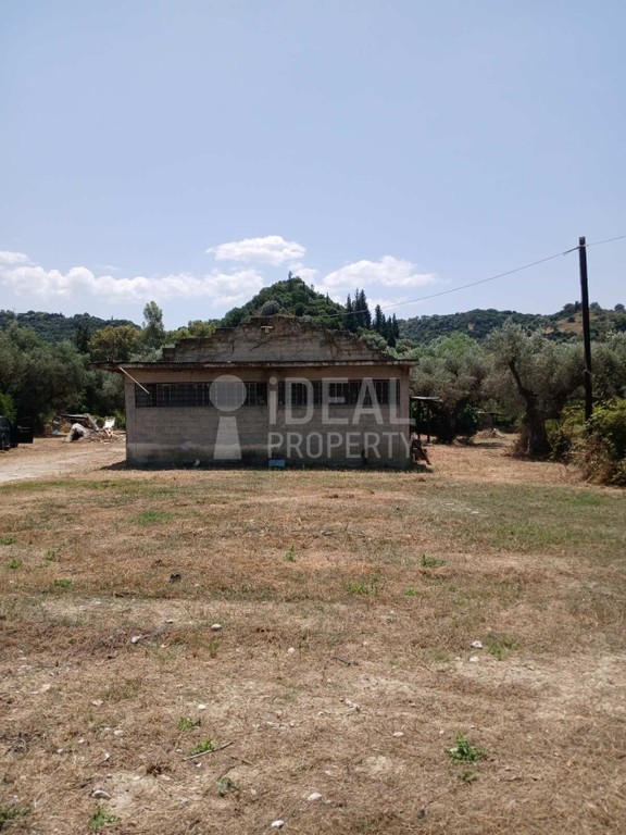 Οικόπεδο 4.505 τ.μ. προς πώληση, Μιντιλόγλι
