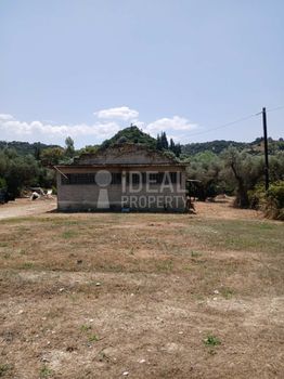 Οικόπεδο 4.505 τ.μ. για πώληση
