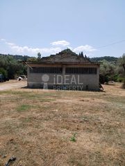 Οικόπεδο 4.505 τ.μ. προς πώληση, Μιντιλόγλι-thumb-8