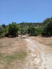 Οικόπεδο 4.505 τ.μ. για ενοικίαση, Αχαΐα, Παραλία-thumb-5