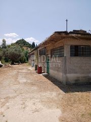 Οικόπεδο 4.505 τ.μ. για ενοικίαση, Αχαΐα, Παραλία-thumb-14
