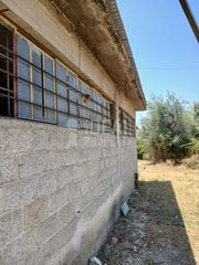 Οικόπεδο 4.505 τ.μ. για ενοικίαση, Αχαΐα, Παραλία-thumb-6