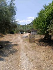 Οικόπεδο 4.505 τ.μ. για ενοικίαση, Αχαΐα, Παραλία-thumb-12