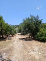 Οικόπεδο 4.505 τ.μ. για ενοικίαση, Αχαΐα, Παραλία-thumb-10