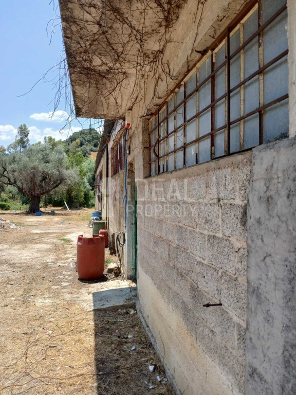 Οικόπεδο 4.505 τ.μ. προς ενοικίαση, Μιντιλόγλι