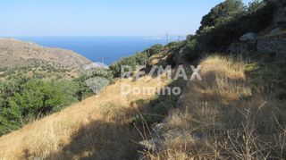 Αγροτεμάχια 4.720 τ.μ. για πώληση