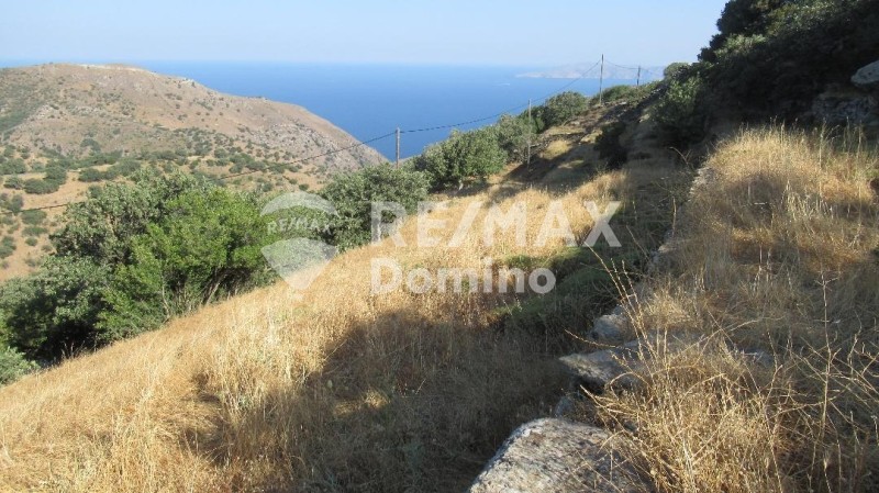 Αγροτεμάχια 4.720 τ.μ. προς πώληση, Άγιος Συμεών Κέας