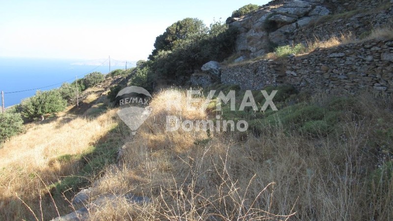 Αγροτεμάχια 4.720 τ.μ. προς πώληση, Άγιος Συμεών Κέας