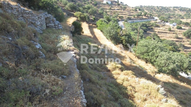 Αγροτεμάχια 4.720 τ.μ. προς πώληση, Άγιος Συμεών Κέας