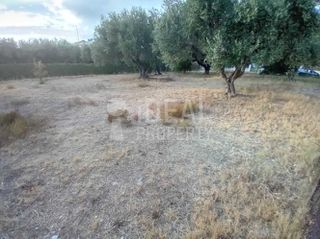 Οικόπεδο 966 τ.μ. για πώληση
