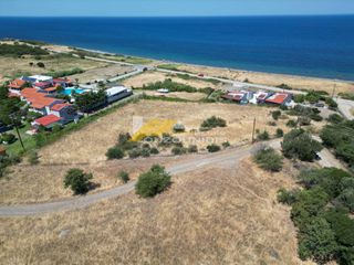 Αγροτεμάχια 4.650 τ.μ. για πώληση