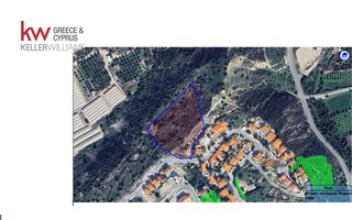 Αγροτεμάχια 9.390 τ.μ. για πώληση