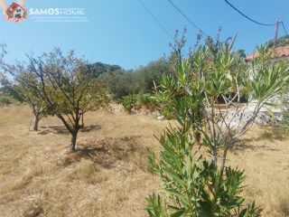 Μονοκατοικία 38,34 τ.μ. για πώληση, Ν. Σάμου, Σάμος-thumb-1