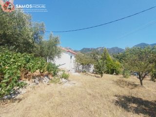 Μονοκατοικία 38,34 τ.μ. για πώληση, Ν. Σάμου, Σάμος-thumb-2