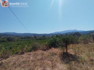 Μονοκατοικία 38,34 τ.μ. για πώληση, Ν. Σάμου, Σάμος-thumb-11
