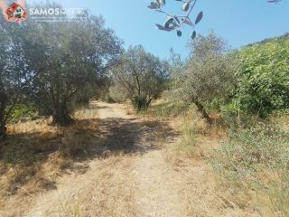 Μονοκατοικία 38,34 τ.μ. για πώληση, Ν. Σάμου, Σάμος-thumb-14