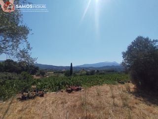 Μονοκατοικία 38,34 τ.μ. για πώληση, Ν. Σάμου, Σάμος-thumb-15