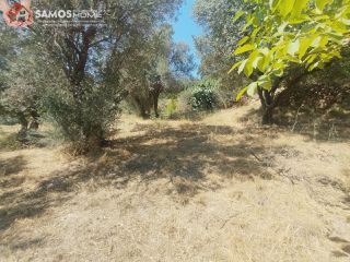 Μονοκατοικία 38,34 τ.μ. για πώληση, Ν. Σάμου, Σάμος-thumb-16