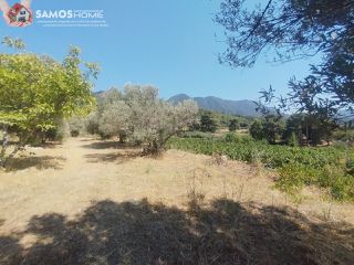 Μονοκατοικία 38,34 τ.μ. για πώληση, Ν. Σάμου, Σάμος-thumb-17