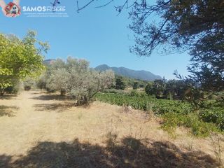 Μονοκατοικία 38,34 τ.μ. για πώληση, Ν. Σάμου, Σάμος-thumb-18