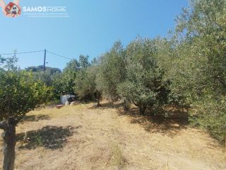 Μονοκατοικία 38,34 τ.μ. για πώληση, Ν. Σάμου, Σάμος-thumb-20
