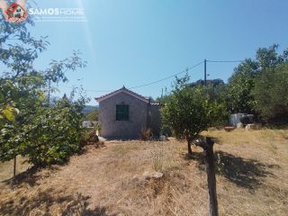 Μονοκατοικία 38,34 τ.μ. για πώληση, Ν. Σάμου, Σάμος-thumb-21