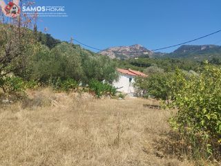 Μονοκατοικία 38,34 τ.μ. για πώληση, Ν. Σάμου, Σάμος-thumb-22