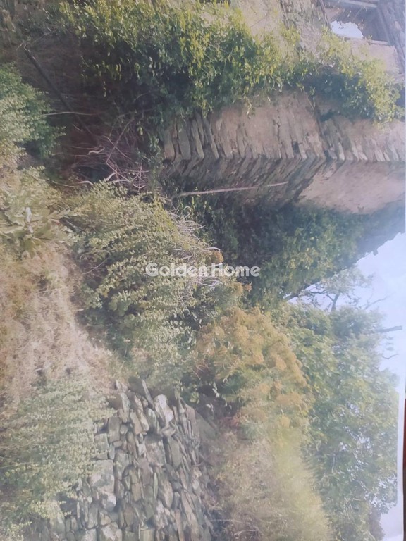 Οικόπεδο 803 τ.μ. πρός πώληση, Μαγνησία, Πορταριά