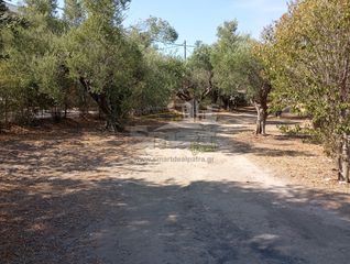 Οικόπεδο 1.000 τ.μ. για πώληση