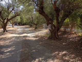 Οικόπεδο 1.000 τ.μ. για πώληση, Αχαΐα, Ρίο-thumb-7