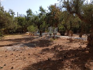 Οικόπεδο 1.000 τ.μ. για πώληση, Αχαΐα, Ρίο-thumb-10