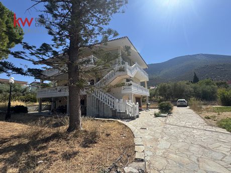 Apartment complex 420sqm for sale-Anthidonos