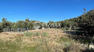Αγροτεμάχια 1.100 τ.μ. για ενοικίαση