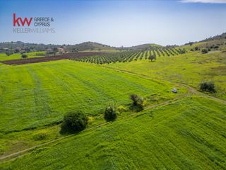 Οικόπεδο 46.500 τ.μ. για πώληση, Αργολίδα, Ερμιόνη-thumb-15