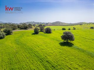 Οικόπεδο 46.500 τ.μ. για πώληση, Αργολίδα, Ερμιόνη-thumb-23