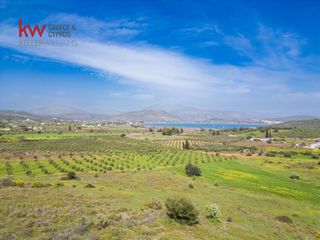 Οικόπεδο 46.500 τ.μ. για πώληση, Αργολίδα, Ερμιόνη-thumb-20
