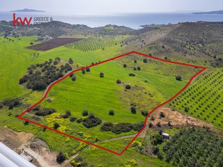 Οικόπεδο 46.500 τ.μ. για πώληση