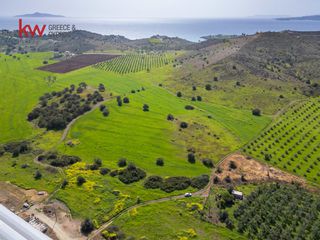 Οικόπεδο 46.500 τ.μ. για πώληση, Αργολίδα, Ερμιόνη-thumb-2