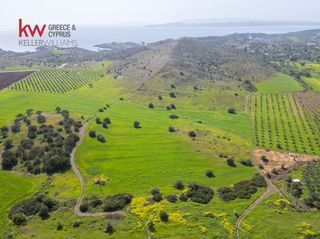 Οικόπεδο 46.500 τ.μ. για πώληση, Αργολίδα, Ερμιόνη-thumb-4