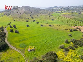 Οικόπεδο 46.500 τ.μ. για πώληση, Αργολίδα, Ερμιόνη-thumb-7