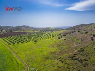 Οικόπεδο 46.500 τ.μ. για πώληση, Αργολίδα, Ερμιόνη-thumb-16