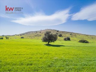 Οικόπεδο 46.500 τ.μ. για πώληση, Αργολίδα, Ερμιόνη-thumb-10