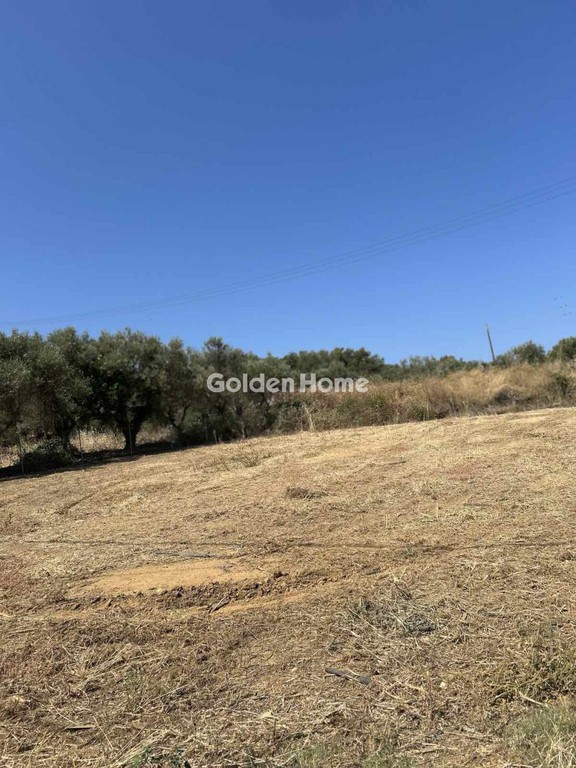 Οικόπεδο 665 τ.μ. προς πώληση, Γεράνι Πλατανιά