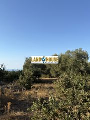 Αγροτεμάχια 5.800 τ.μ. για πώληση, Ν. Ρεθύμνου, Νικηφόρος Φωκάς-thumb-5