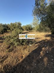 Αγροτεμάχια 5.800 τ.μ. για πώληση, Ν. Ρεθύμνου, Νικηφόρος Φωκάς-thumb-1