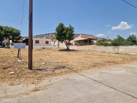 Land plot 600 sqm for sale
