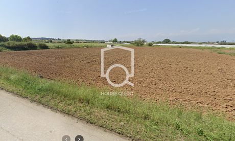 Parcel 5.000sqm for sale-Michaniona
