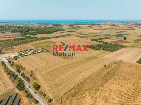 Αγροτεμάχια 12.895,98τ.μ. για πώληση-Κασσάνδρα