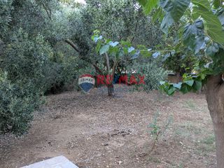 Διαμέρισμα 68 τ.μ. για ενοικίαση, Ν. Χανίων, Κρυονερίδα-thumb-2