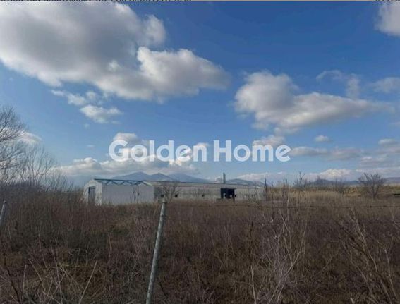 Parcel 11.878 sqm for sale, Xanthi Prefecture, Vistonida